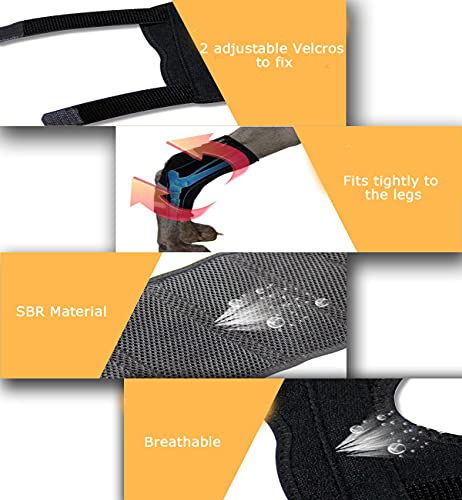 WXFEXIA Hock Brace para perro para pierna trasera, envoltura canina protege heridas, soporte para correr, esguinces, artritis (tira de metal inflexible, M)