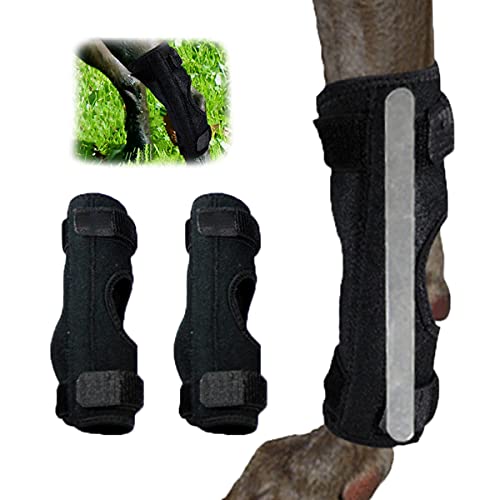 WXFEXIA Hock Brace para perro para pierna trasera, envoltura canina protege heridas, soporte para correr, esguinces, artritis (tira de metal inflexible, M)