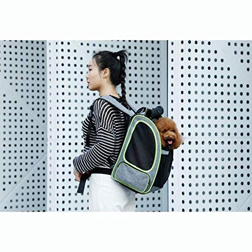 WYJJP Aprobado mascota pequeña mochila for mascotas for perros pequeños y gatos, aprobado por las aerolíneas, Diseñado for el viaje, el caminar y el uso al aire libre