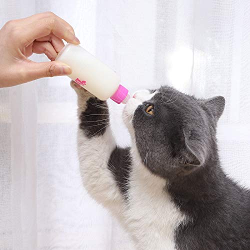 WZDTNL Botellas de lactancia para cachorros, kits de biberones de enfermería, para perro, gato, cachorro, botella de alimentación de leche, juego de cuidado de enfermería para mascotas