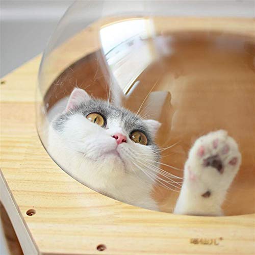 XIANGE100-SHOP Arbol Rascador Gatos Gato montado en la Pared Marco de Gato Árbol de Gato de Madera Gato de Madera Play Casa Cave Gatito Juguete Cama DIY Muebles para Mascotas Marrón (Color : A)