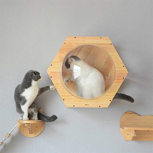 XIANGE100-SHOP Arbol Rascador Gatos Gato montado en la Pared Marco de Gato Árbol de Gato de Madera Gato de Madera Play Casa Cave Gatito Juguete Cama DIY Muebles para Mascotas Marrón (Color : A)