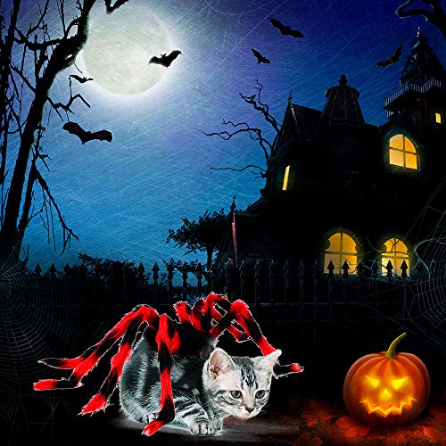 XIAOKUKU Creativa Halloween Decoración Gatos y Perros, los Brazos araña mullida Son realistas e Interesante, cómodo ya la luz de Desgaste, Conveniente para los Trajes de Cosplay de Gato y Perro,M