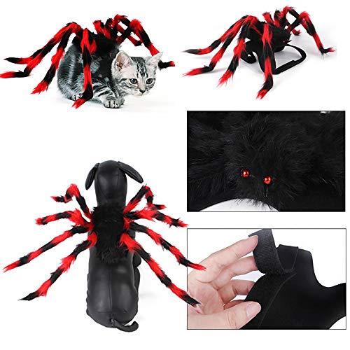 XIAOKUKU Creativa Halloween Decoración Gatos y Perros, los Brazos araña mullida Son realistas e Interesante, cómodo ya la luz de Desgaste, Conveniente para los Trajes de Cosplay de Gato y Perro,M
