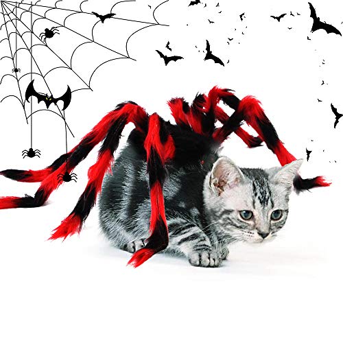 XIAOKUKU Creativa Halloween Decoración Gatos y Perros, los Brazos araña mullida Son realistas e Interesante, cómodo ya la luz de Desgaste, Conveniente para los Trajes de Cosplay de Gato y Perro,M