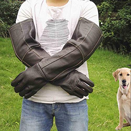 XINGSEB Cuerda Anti-Mordidas Seguridad Guantes,Ultra Largos Anti-mordedura/arañazos Piel de Vaca Anti-Mordida Guante para Perros, Gatos, Lagartos, Serpientes, Erizos, Reptiles, Color Aleatorio