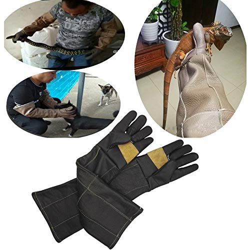 XINGSEB Cuerda Anti-Mordidas Seguridad Guantes,Ultra Largos Anti-mordedura/arañazos Piel de Vaca Anti-Mordida Guante para Perros, Gatos, Lagartos, Serpientes, Erizos, Reptiles, Color Aleatorio