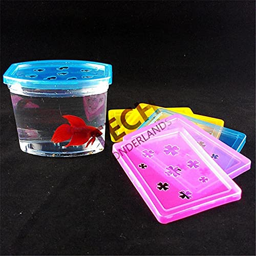 xinxinchaoshi Pecera Colorido Betta casa rectángulo Lucha Betta Pescado Tanque Acuario Sala de Estar Oficina Escritorio Descuento de la casa Acuario Pequeño (Color : Color, Size : ARC Shaped)