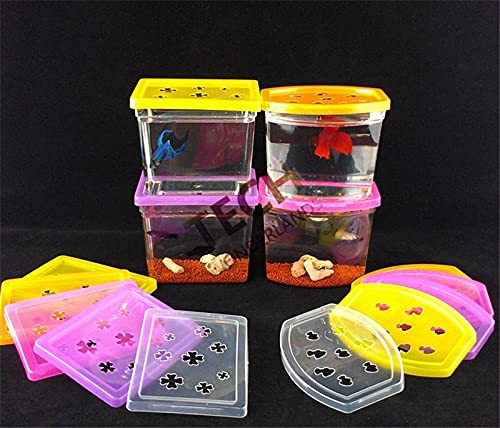 xinxinchaoshi Pecera Colorido Betta casa rectángulo Lucha Betta Pescado Tanque Acuario Sala de Estar Oficina Escritorio Descuento de la casa Acuario Pequeño (Color : Color, Size : ARC Shaped)