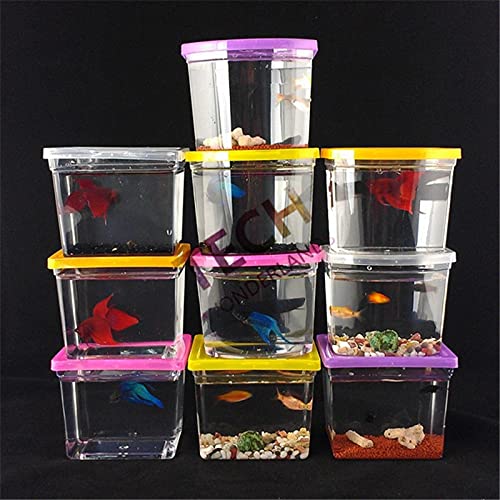 xinxinchaoshi Pecera Colorido Betta casa rectángulo Lucha Betta Pescado Tanque Acuario Sala de Estar Oficina Escritorio Descuento de la casa Acuario Pequeño (Color : Color, Size : ARC Shaped)