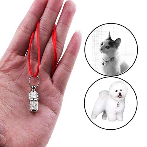 XLKJ 6PCS Etiquetas de Identificación de Mascotas Anti-Perdido para Collar Perro Collar Gato Accesorios para Mascotas Decoraciones Llavero