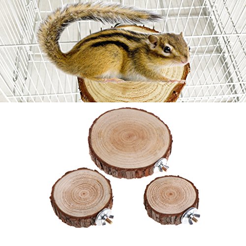 XMTPF Plataforma redonda de madera para pájaros y loros para mascotas
