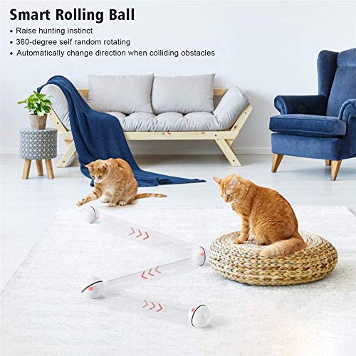 XMY Gato interactiva Juguetes Bola con luz LED, de 360 ​​Grados Auto Rotación de Bola, Bola del Juguete del Gato Recargable USB, estimulan el Instinto de Caza Gatito Divertido del Cazador de Rodillo
