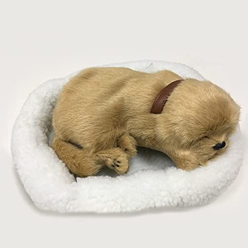 XuRX 13 '' Gato Realista, Lindo Simulación Sleeping Cat Felpa muñeca de Juguete, Felpa de respiración del Gato y el Gato Mullido y del Amortiguador, Delicada y Suave sensación de la Mano