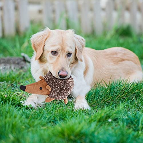 Xzbling Juguetes para Masticar para Perros, Muñeco Erizo Juguetes Interactivos para Perros, Juguetes Vocales para Mascotas Seguros Y Duraderos Juguetes para Rechazar Los Dientes para Perros