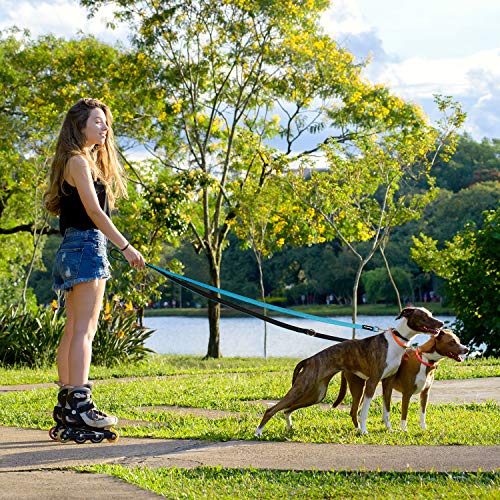 Yangbaga Correa para Perros Multiposición, Correa Perro adiestramiento Nylon Correa Doble, 4 Longitudes para Perro Pequeño Perro Mediano y Perro Grande 224cm Azul