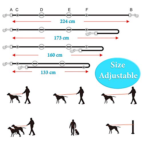 Yangbaga Correa para Perros Multiposición, Correa Perro adiestramiento Nylon Correa Doble, 4 Longitudes para Perro Pequeño Perro Mediano y Perro Grande 224cm Azul