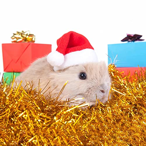 yanghui Gorro de Papá Noel con Bufanda para Mascotas, Juego de Gorro de Bufanda Ajustable con Calentador de Navidad para Gato, Perro o Pollo para Ropa de Fiesta de Navidad