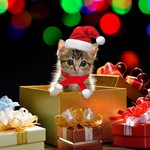 yanghui Gorro de Papá Noel con Bufanda para Mascotas, Juego de Gorro de Bufanda Ajustable con Calentador de Navidad para Gato, Perro o Pollo para Ropa de Fiesta de Navidad