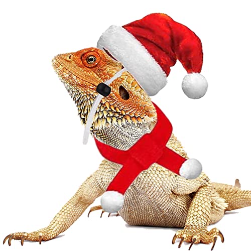 yanghui Gorro de Papá Noel con Bufanda para Mascotas, Juego de Gorro de Bufanda Ajustable con Calentador de Navidad para Gato, Perro o Pollo para Ropa de Fiesta de Navidad