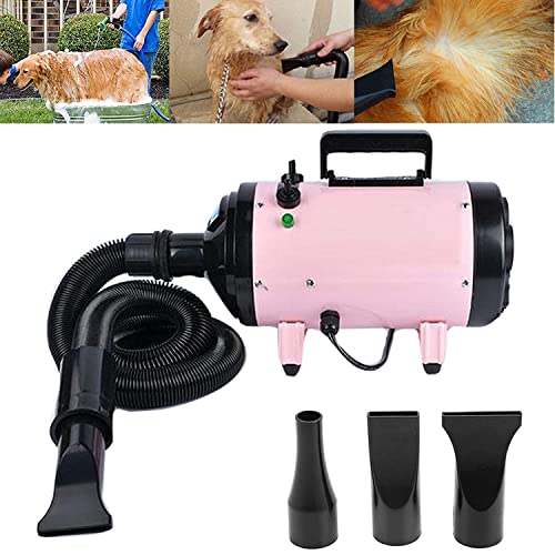 yanzz Secador de Pelo para Mascotas, secador de Pelo para Perros, Gatos, peluquería, secador de Pelo Potente de Alta Velocidad con 3 boquillas, Manguera Flexible de 2,5 m, Control de Encendido/a