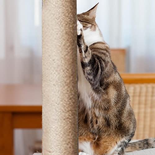 yestter-123 Poste para rascar Gatos | Juguete para Gatos montado en la Pared con Tornillo de Montaje, Poste para Colgar en la Cuerda Postes rascadores para Gatos diseñados para la Salud y el Buen