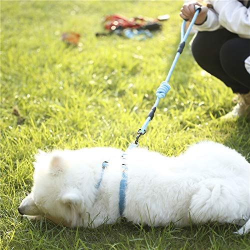 YFCTLM Correa de Perro Correa de Nylon Correa de Perro del Animal doméstico de reproducción y Gato o un Collar de adiestramiento y arnés () 1,2 m (Color : Yel, Size : L 50 65cm Chest)