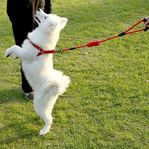 YFCTLM Correa de Perro Correa de Nylon Correa de Perro del Animal doméstico de reproducción y Gato o un Collar de adiestramiento y arnés () 1,2 m (Color : Yel, Size : L 50 65cm Chest)