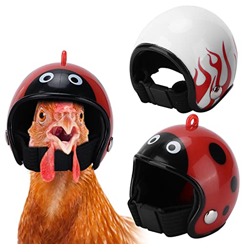 YongliJc Casco de pájaro de Pollo, Decorativo de Aves de Corral para Mascotas, Casco con diseño de Mariquita de Llama, para Pato de pájaro