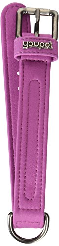 Youpet Collar para Perro Dared, Violeta, Talla S