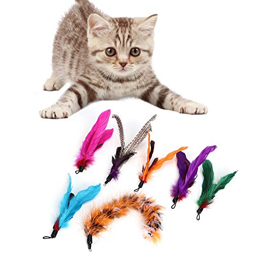 YOUTHINK 7 Piezas Pet Cat Teaser Dangler Toy Rod Stick Pluma Cabeza de Repuesto Suministros para Gatos con Paquete de Plumas de Repuesto de Varias Piezas