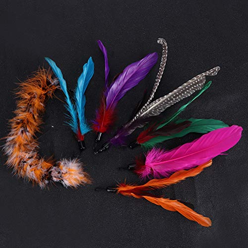 YOUTHINK 7 Piezas Pet Cat Teaser Dangler Toy Rod Stick Pluma Cabeza de Repuesto Suministros para Gatos con Paquete de Plumas de Repuesto de Varias Piezas