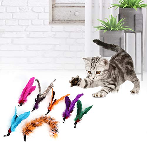 YOUTHINK 7 Piezas Pet Cat Teaser Dangler Toy Rod Stick Pluma Cabeza de Repuesto Suministros para Gatos con Paquete de Plumas de Repuesto de Varias Piezas