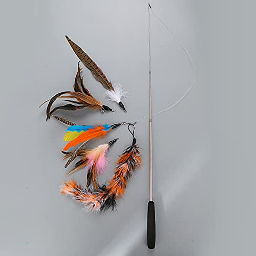 YOUYO Pluma Creativa Divertido Palo de Gato Divertido Juguete de Gato Deja Que El Gato Rejuvenece Mejora La Relación Entre Mascotas Juguete de Gato de Interior