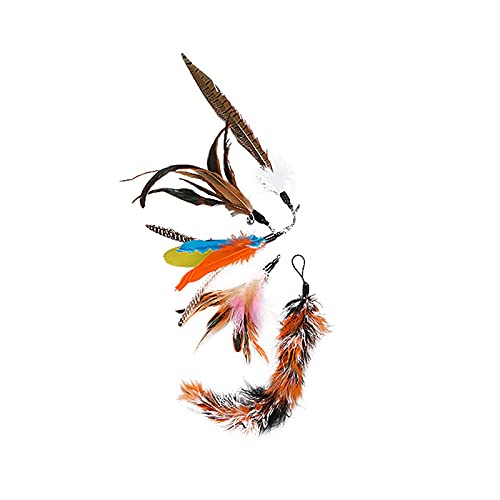 YOUYO Pluma Creativa Divertido Palo de Gato Divertido Juguete de Gato Deja Que El Gato Rejuvenece Mejora La Relación Entre Mascotas Juguete de Gato de Interior