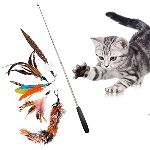 YOUYO Pluma Creativa Divertido Palo de Gato Divertido Juguete de Gato Deja Que El Gato Rejuvenece Mejora La Relación Entre Mascotas Juguete de Gato de Interior