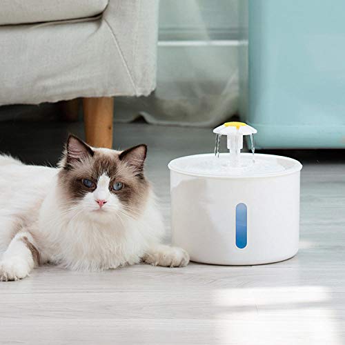 YQZS Mascota Gato y Perro circulación automática dispensador de Agua con oxígeno Activo dispensador de Agua para Mascotas Fuente para Mascotas-Blanco