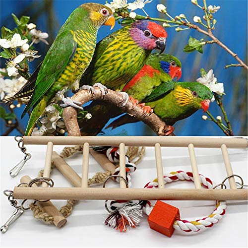 YSYDE Puente Colgante, Loro Piel de Tigre Estornino Suministros Escalada Escalera Escalera Columpio Juguete Jaula de pájaros Soporte Stand Ba Rparrots Son Animales sabios en el Entorno Humano