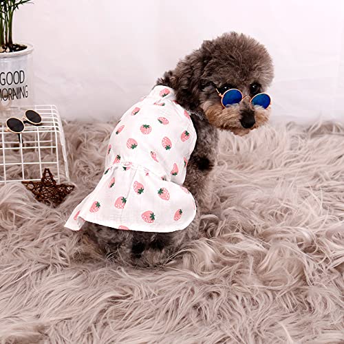 YTXYZU Mascotas Trajes de recuperación Anti lamida Destete Ropa Chaleco de Perro/GatosFalda para Mascotas,Fresa,XS