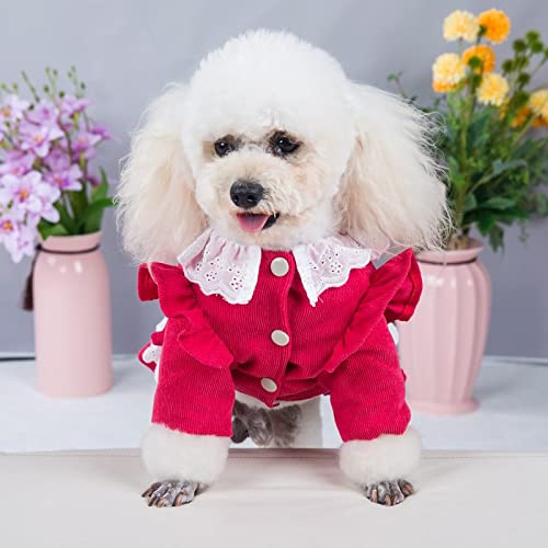 YTXYZU Mascotas Trajes de recuperación Anti lamida Destete Ropa Chaleco de Perro/GatosFalda para Mascotas,Rojo,2XL