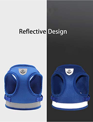 YUEMING Arnes Gatos, Arnés para Gatos con Correa 120 cm Arnes Gato, Reflectante Ajustable Pequeña Vest Harness para Correr, Correas de Entrenamiento para Gatos, Cachorros, Mascotas Pequeñas (Azul, M)
