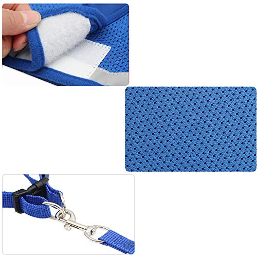 YUEMING Arnes Gatos, Arnés para Gatos con Correa 120 cm Arnes Gato, Reflectante Ajustable Pequeña Vest Harness para Correr, Correas de Entrenamiento para Gatos, Cachorros, Mascotas Pequeñas (Azul, M)