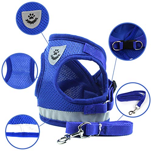 YUEMING Arnes Gatos, Arnés para Gatos con Correa 120 cm Arnes Gato, Reflectante Ajustable Pequeña Vest Harness para Correr, Correas de Entrenamiento para Gatos, Cachorros, Mascotas Pequeñas (Azul, M)