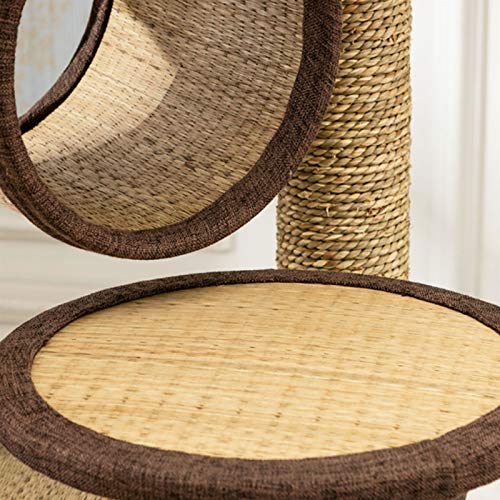 YWAWJ Árbol de gato de múltiples capas Gato natural del gato natural del gato de la columna de la columna de la columna de la columna Double Pelqueteo Hábitat Cat Hammock Kitten Maceta Casa de muñecas