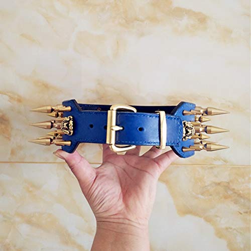 Ywlanlantrading Dog Collar Necklace Collar for Perros Remache Taurino Hecho a Mano Personalizado Casrodu High Dog (Color : Blue, Size : 65-73 cm)