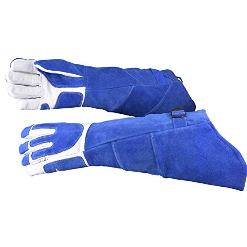 Ywlanlantrading Guante Espesar Anti-mordida de Seguridad Guantes de Entrenamiento de Animales tácticos de alimentación para Perros Gato Mascota mordida Anti-arañazos Guantes de protección 1 par