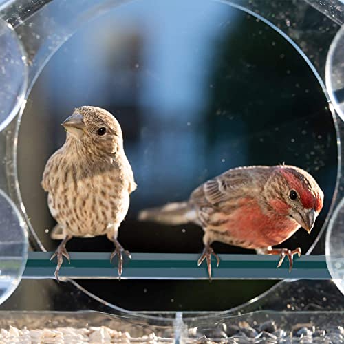 YXSH Comedero para pájaros Tipo Ventana Transparente Comedero para pájaros Tipo Ventana con Ventosa Potente, comedero Grande para pájaros al Aire Libre, Regalo de observación de Aves para Ancianos