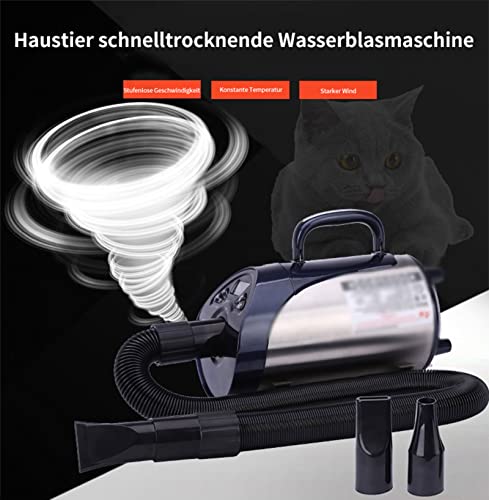 YZT QUEEN Secador De Pelo De Perro 2800W, Secador De Pelo De Aseo para Perros Y Gatos De Alta Potencia con Ajuste Continuo De Temperatura Y Velocidad De Bajo Ruido,Naranja