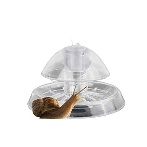 Zeagro 1 trampa de caracol transparente de plástico libre de cebo para acuario, pecera, plantas planarian sanguijuela, captura de naturaleza.