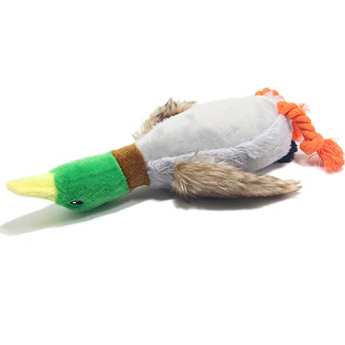 ZEMENG Creative Perro MASTICO Juguete Forma de Pato Anti-mordida Mascota chirrido Perro Juguete Juguete Juguete Juguete para Perros Gatos Suministros Mascotas Gato Perro favores 2 Tipos
